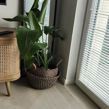 Apartman Altro Silownia,bilard, Sala Zabaw Dla Dzieci, Aquapark 10 Minut Rumia